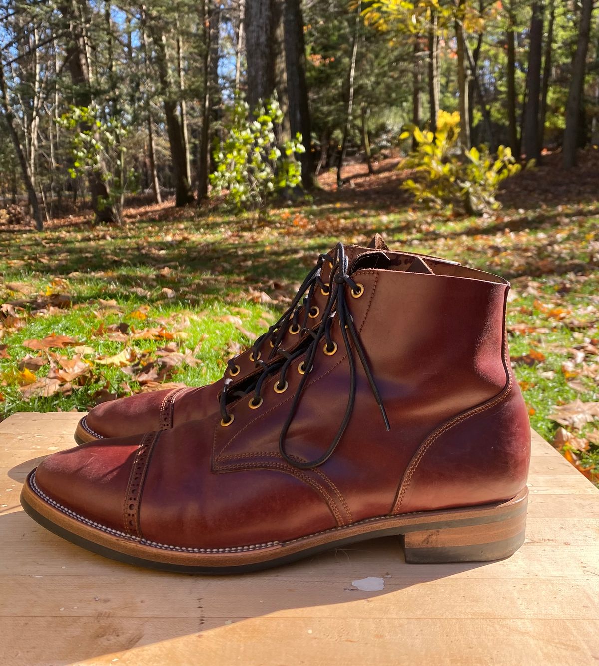 Photo by AgEcho on November 1, 2025 of the Iron Boots Devil Dog in Maryam Ruggine Shell Cordovan.