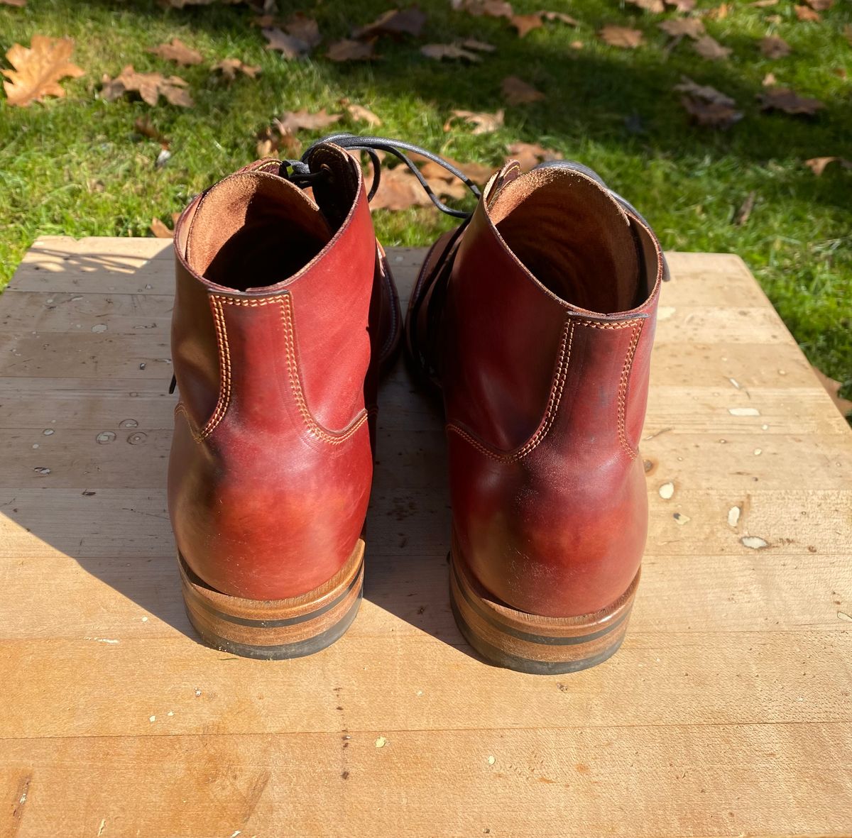 Photo by AgEcho on December 1, 2025 of the Iron Boots Devil Dog in Maryam Ruggine Shell Cordovan.