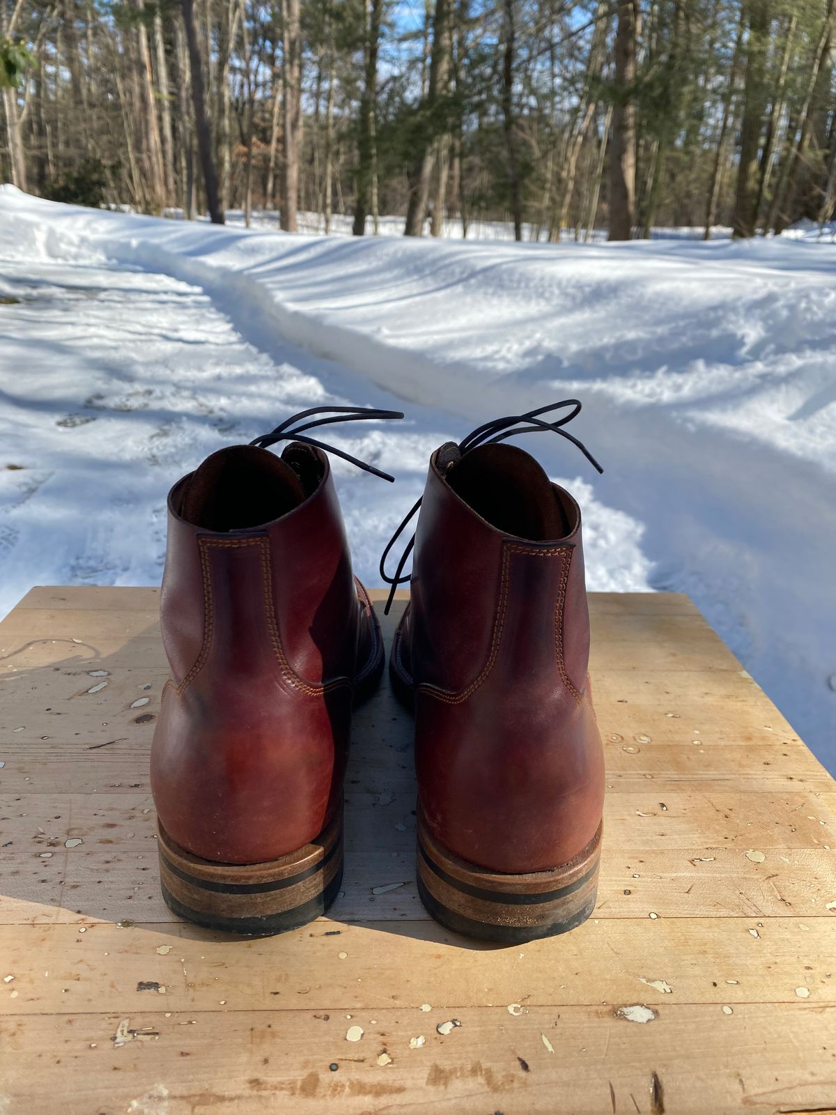 Photo by AgEcho on March 1, 2026 of the Iron Boots Devil Dog in Maryam Ruggine Shell Cordovan.