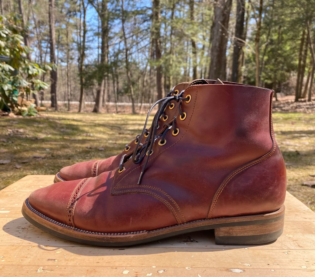 Photo by AgEcho on March 29, 2026 of the Iron Boots Devil Dog in Maryam Ruggine Shell Cordovan.