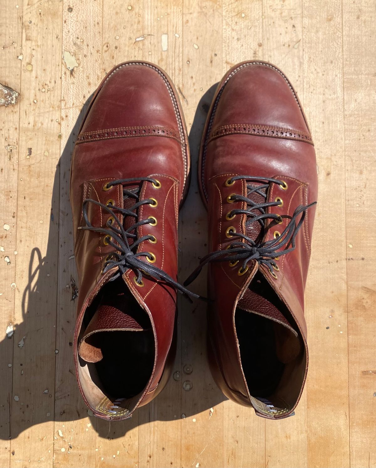 Photo by AgEcho on March 29, 2026 of the Iron Boots Devil Dog in Maryam Ruggine Shell Cordovan.