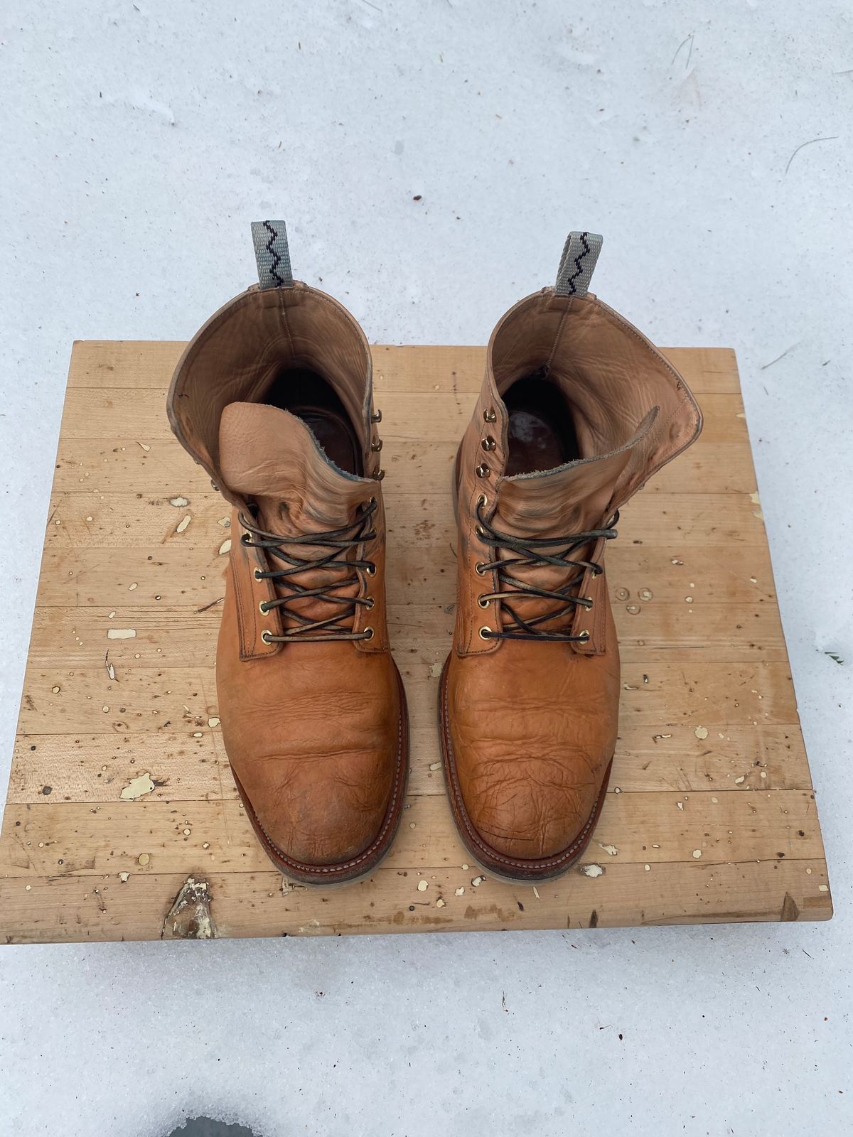 Photo by AgEcho on March 5, 2025 of the Unmarked DB Hunter in Oiled Natural Veg Tan.