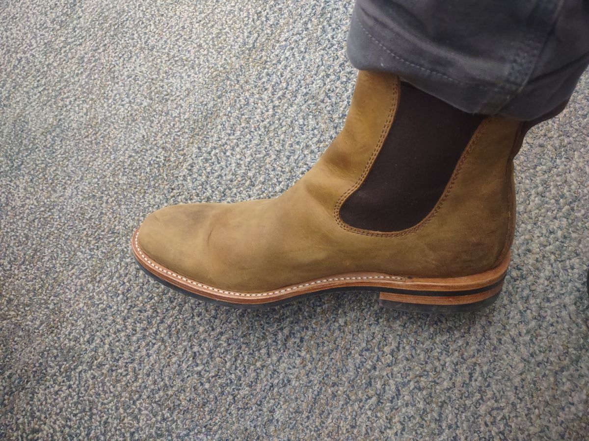 Photo by grwulff on June 4, 2024 of the Dayton Boots Wholecut Chelsea in Brown Nubuck.