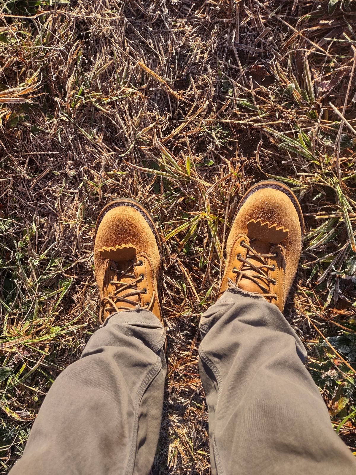 Photo by grwulff on November 9, 2024 of the Frank's Boots Ground Pounder in Seidel Tan Teton.