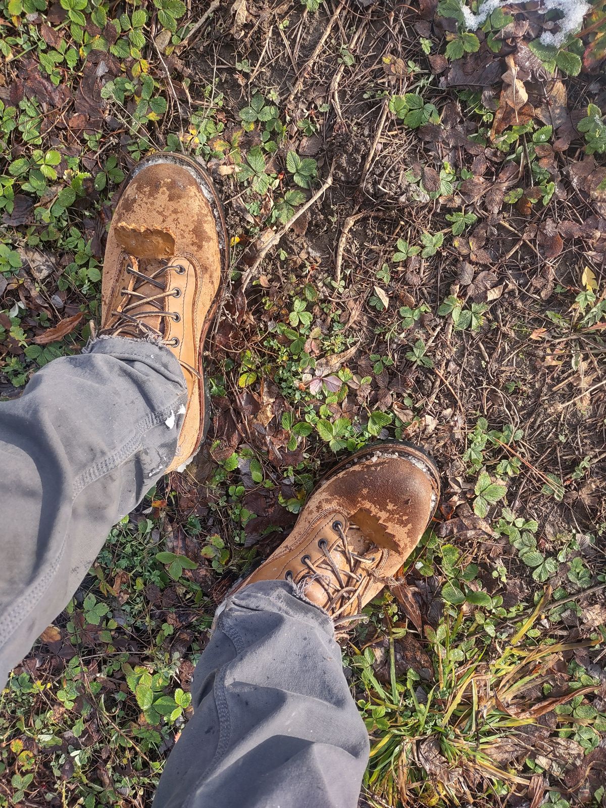 Photo by grwulff on January 1, 2025 of the Frank's Boots Ground Pounder in Seidel Tan Teton.