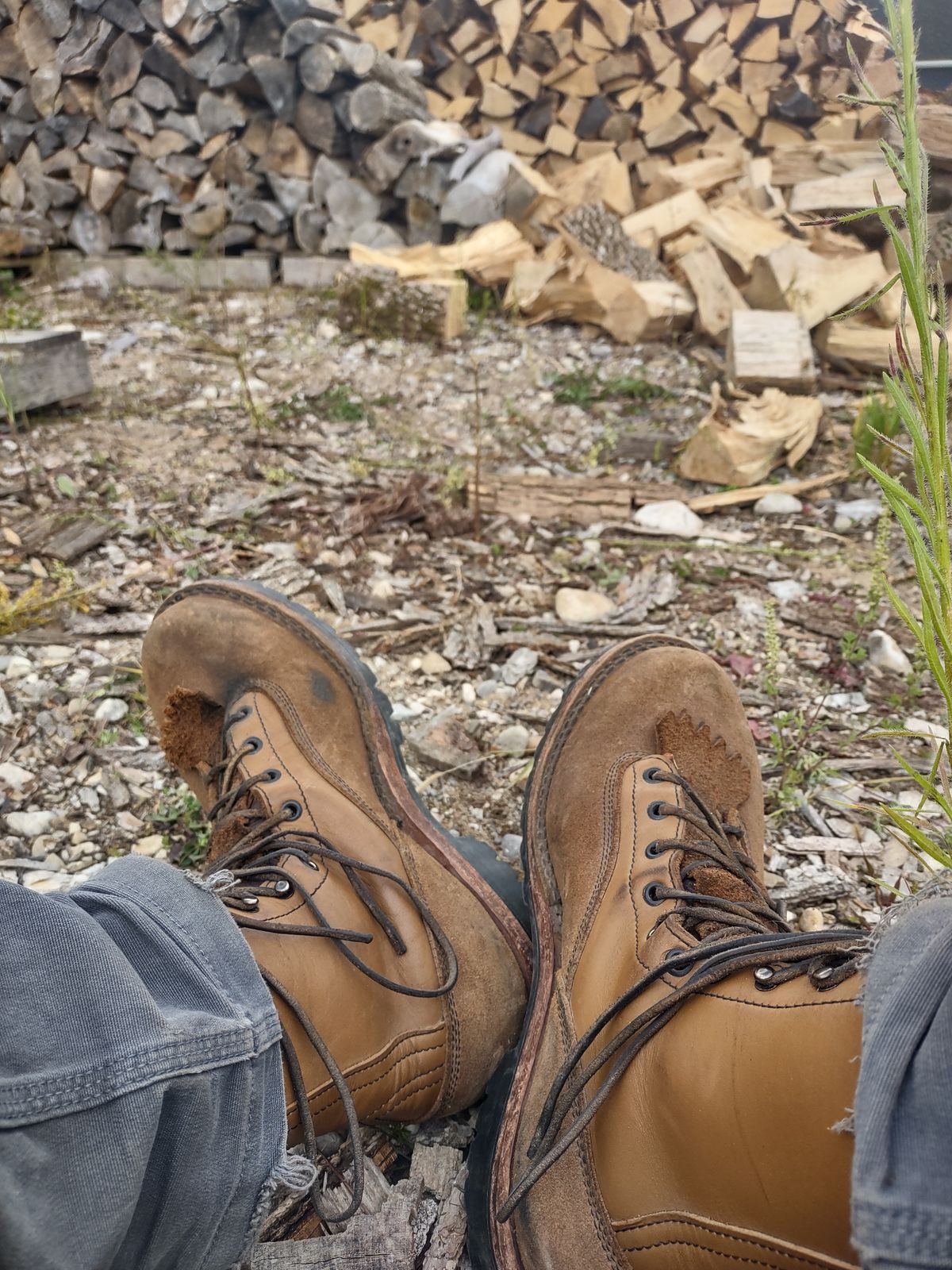 Photo by grwulff on September 6, 2025 of the Frank's Boots Ground Pounder in Seidel Tan Teton.