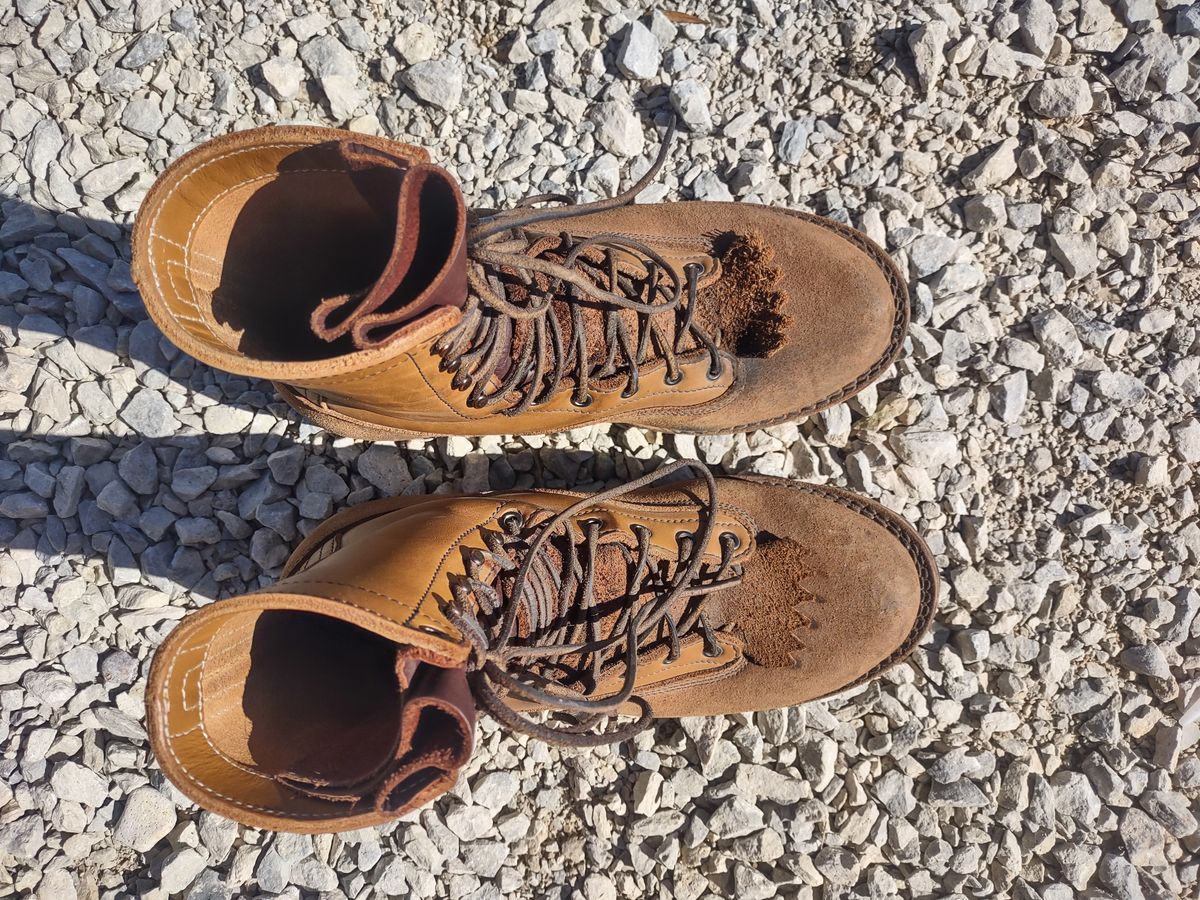 Photo by grwulff on September 29, 2025 of the Frank's Boots Ground Pounder in Seidel Tan Teton.