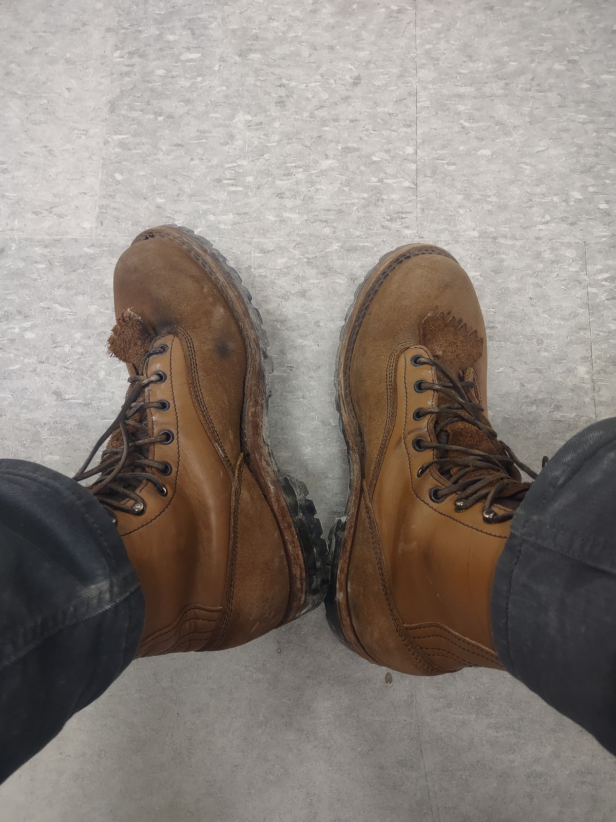 Photo by grwulff on March 4, 2026 of the Frank's Boots Ground Pounder in Seidel Tan Teton.