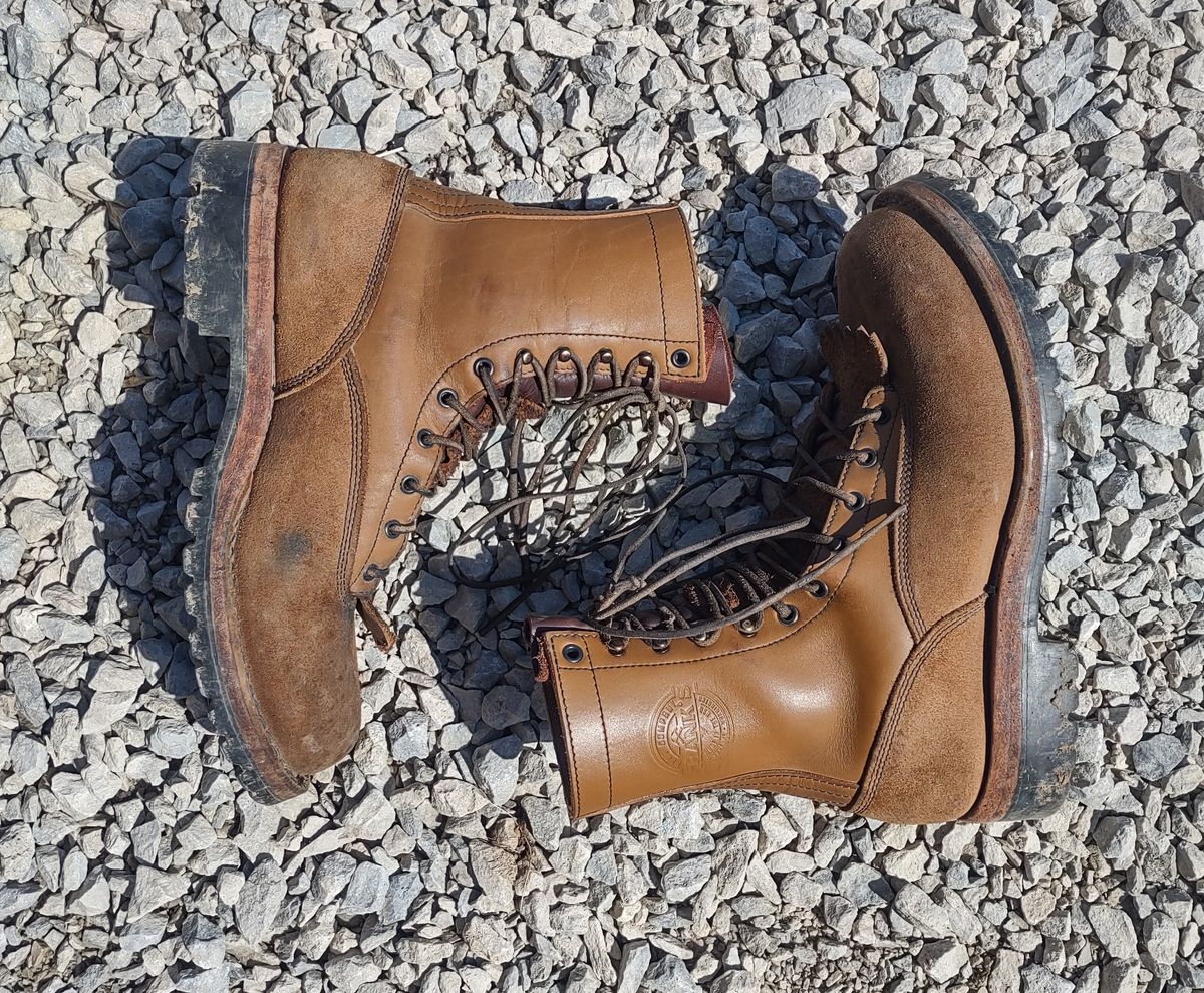 Photo by grwulff on April 8, 2026 of the Frank's Boots Ground Pounder in Seidel Tan Teton.