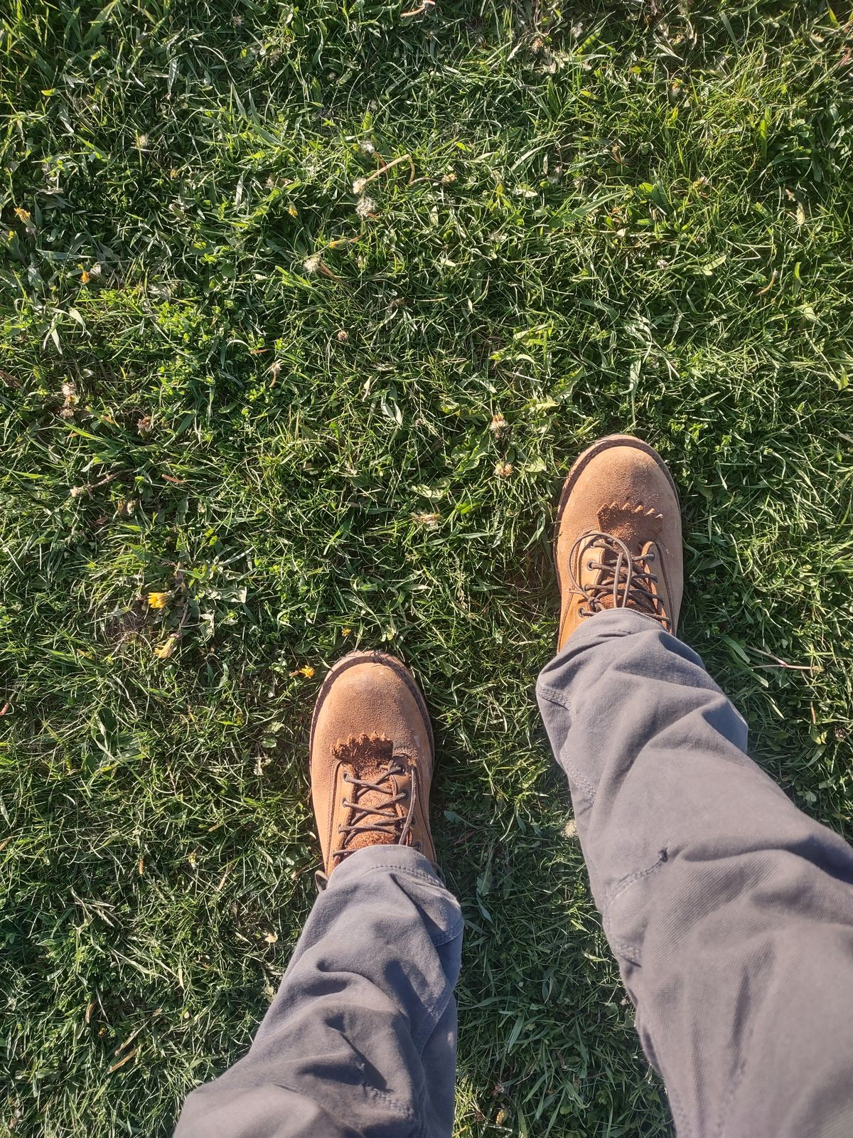 Photo by grwulff on May 21, 2026 of the Frank's Boots Ground Pounder in Seidel Tan Teton.