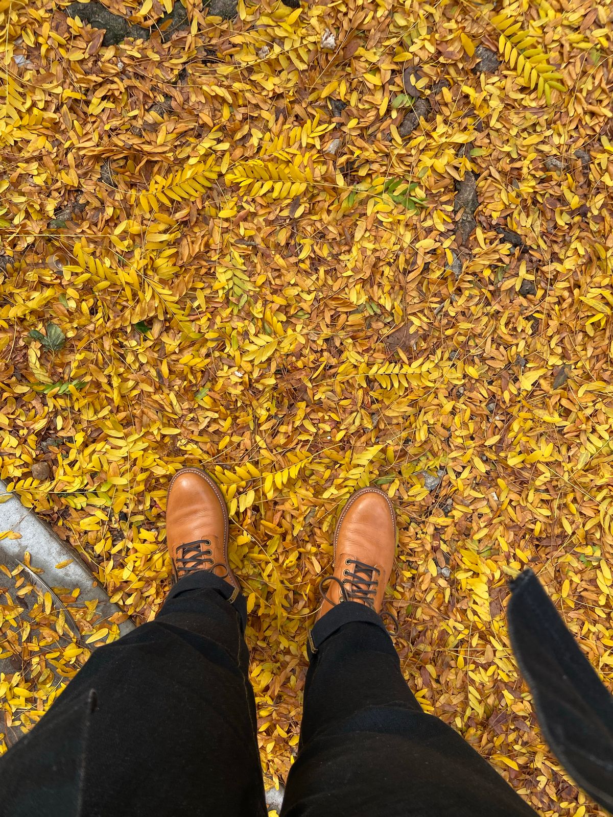 Photo by bootsabouttown on November 1, 2022 of the Grant Stone Diesel Boot in Horween English Tan Essex.