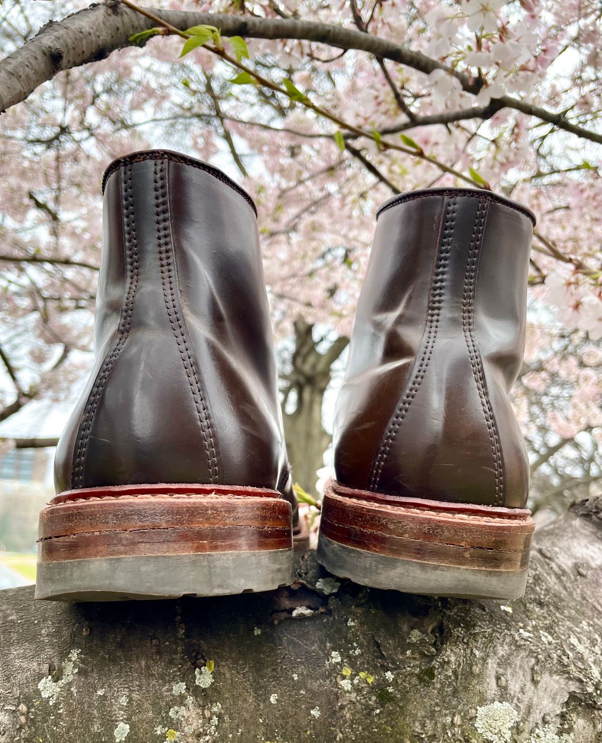 Photo by yallgotbibergs on April 1, 2023 of the Alden Tanker Boot in Horween Cigar Shell Cordovan.