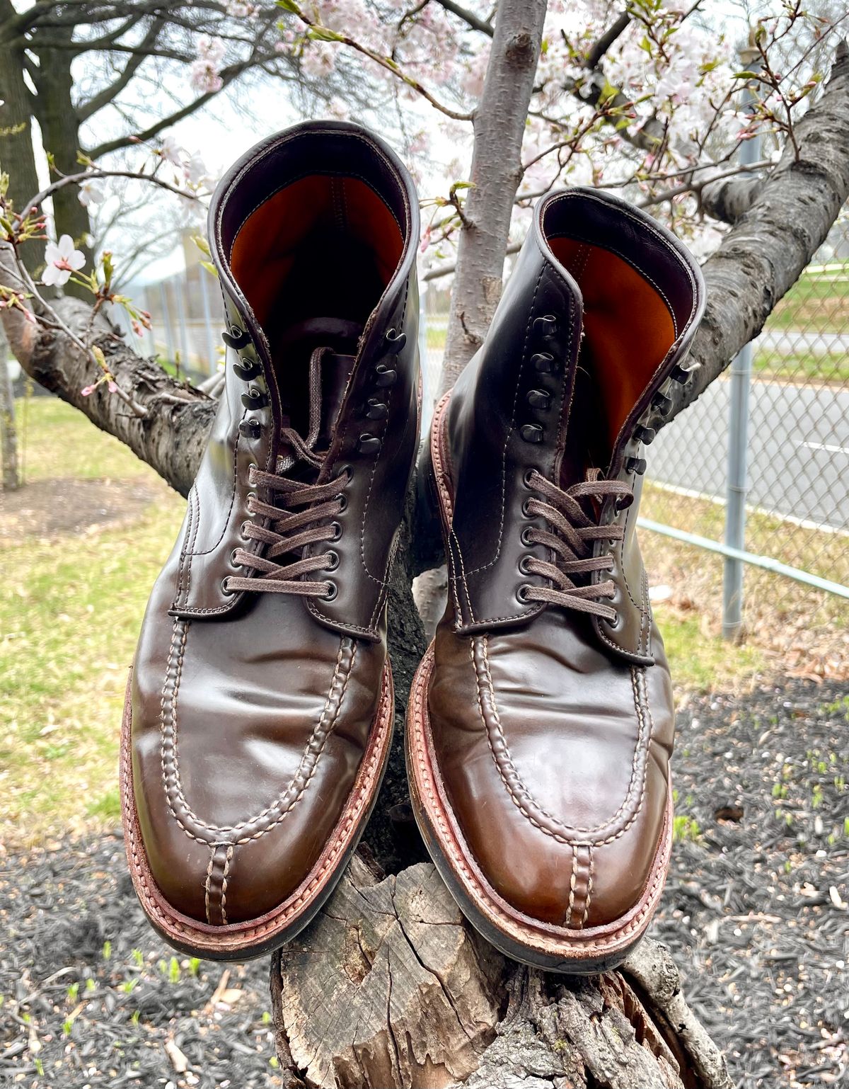 Photo by yallgotbibergs on April 1, 2023 of the Alden Tanker Boot in Horween Cigar Shell Cordovan.