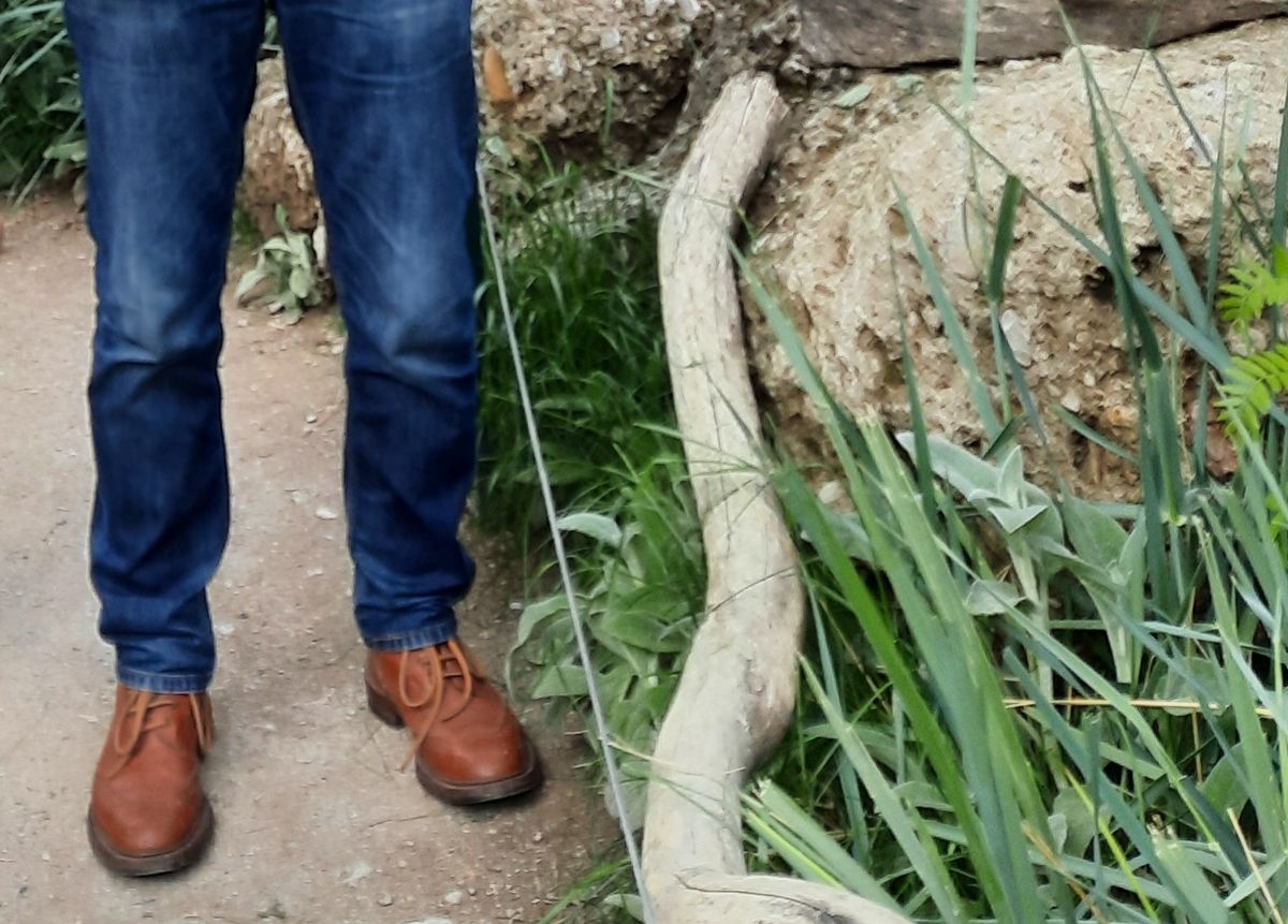 Photo by aun on May 7, 2022 of the Tricker's Stow Country Boot in Marron Calf.