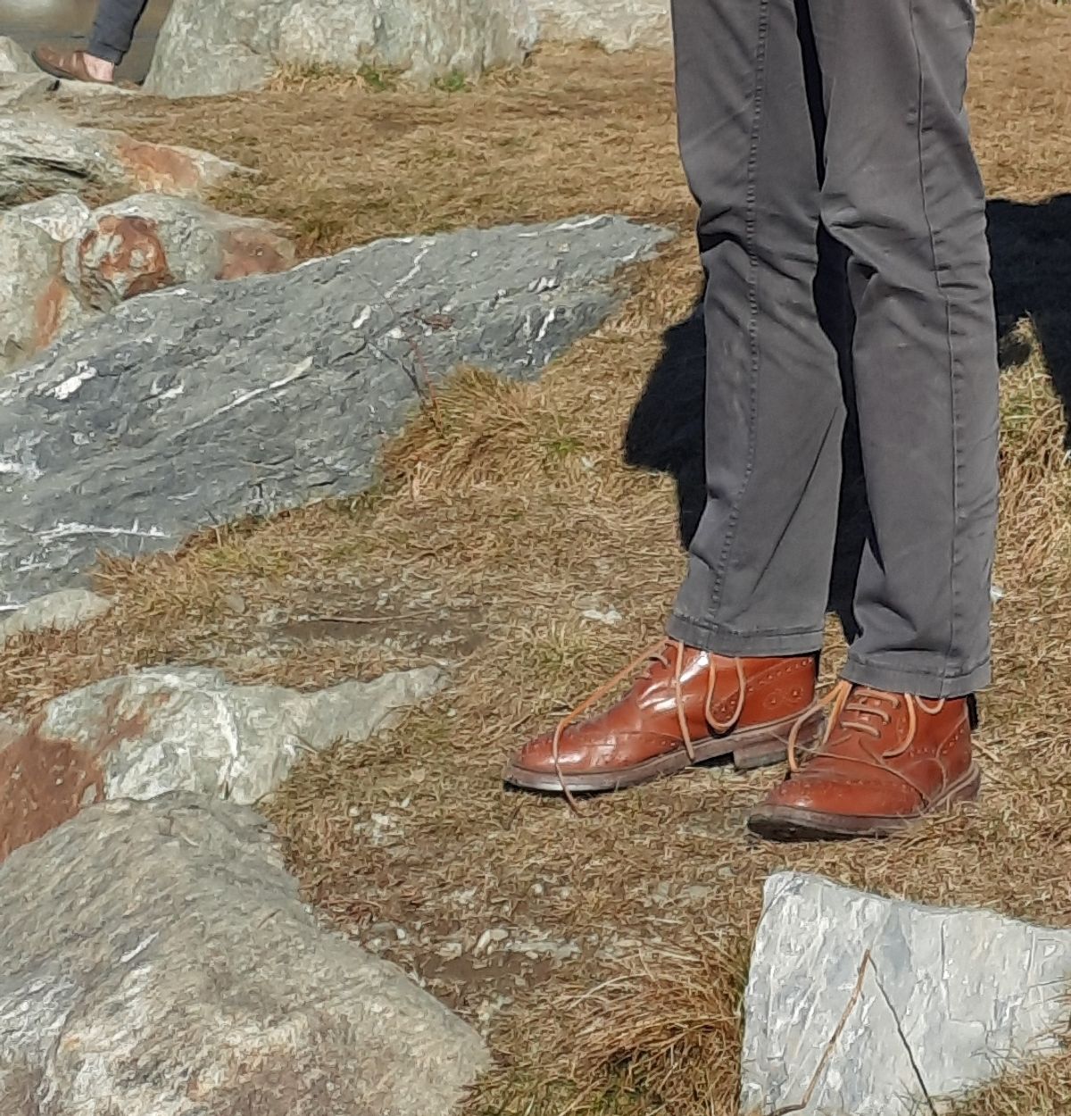 Photo by aun on February 12, 2022 of the Tricker's Stow Country Boot in Marron Calf.