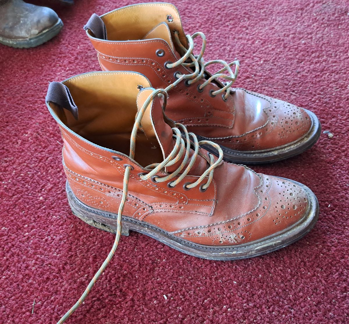 Photo by aun on January 2, 2023 of the Tricker's Stow Country Boot in Marron Calf.