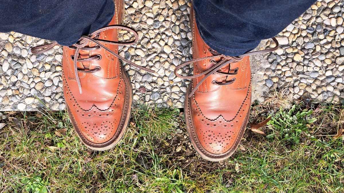 Photo by aun on March 5, 2023 of the Tricker's Stow Country Boot in Marron Calf.