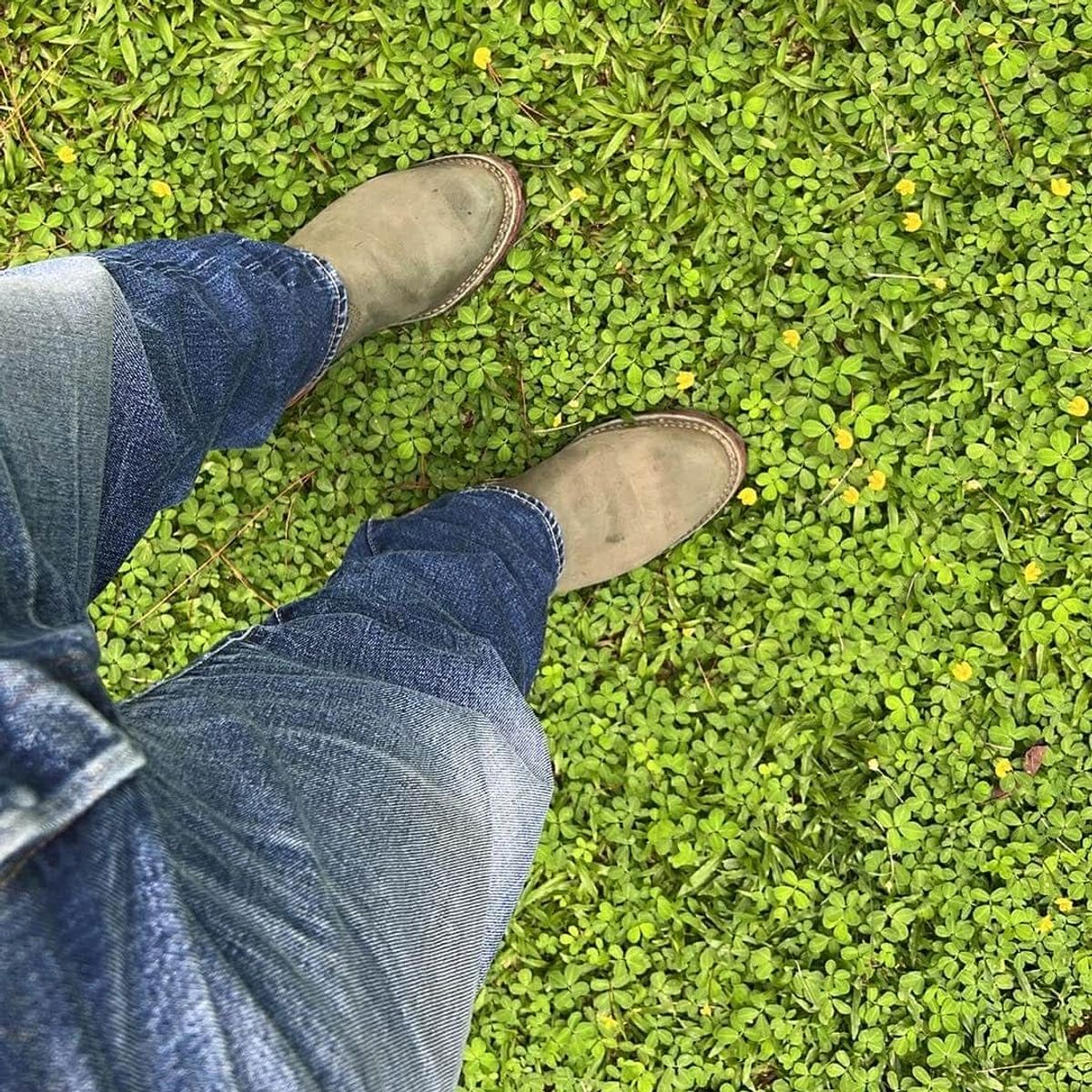 Photo by elmer.richard on April 6, 2025 of the Wesco Morrison in Olive Burlap.