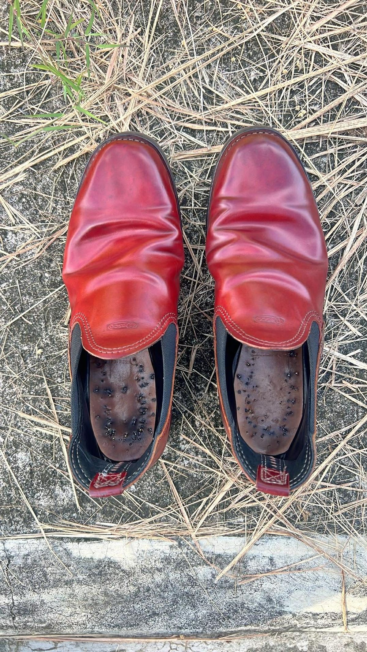 Photo by elmer.richard on December 3, 2025 of the Wesco Romeo in Shinki Ruby Red And Brown Shell Cordovan.
