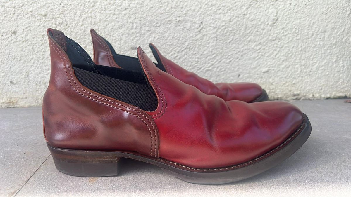 Photo by elmer.richard on January 4, 2026 of the Wesco Romeo in Shinki Ruby Red And Brown Shell Cordovan.