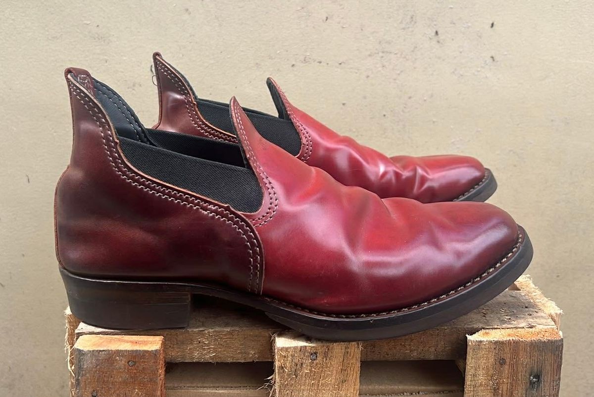 Photo by elmer.richard on March 6, 2026 of the Wesco Romeo in Shinki Ruby Red And Brown Shell Cordovan.