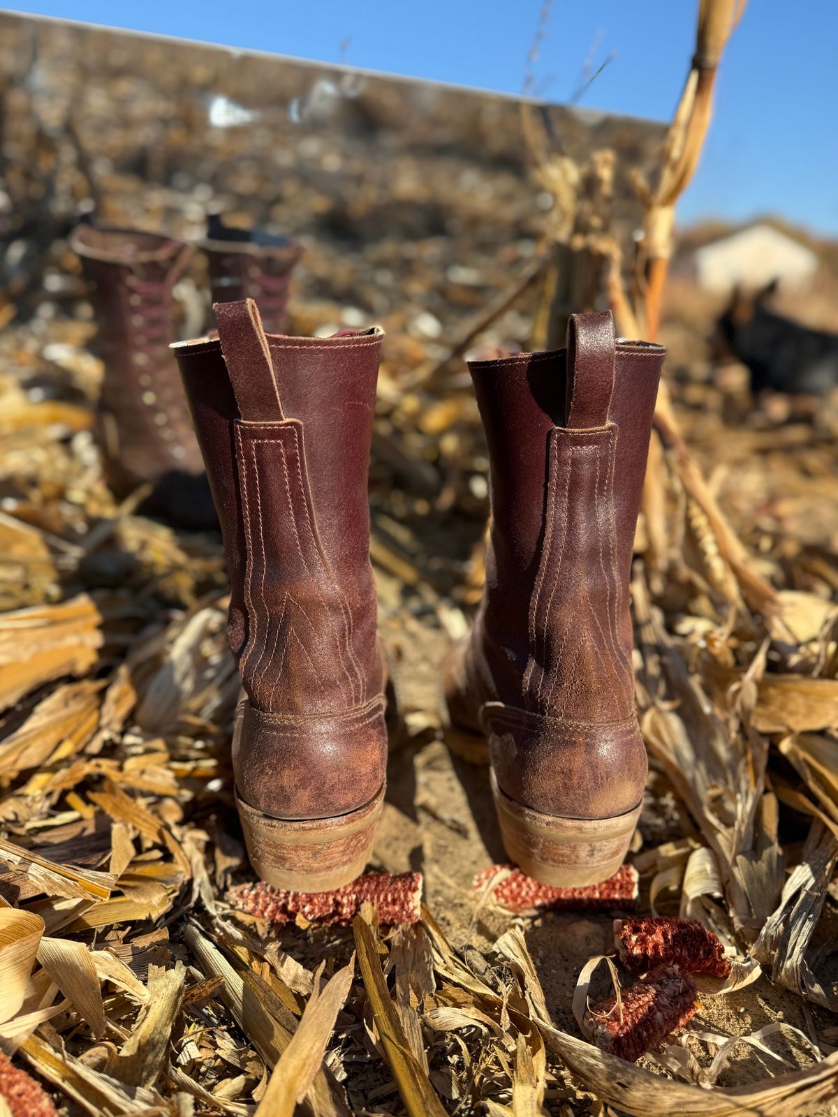 Photo by DocLineman on November 1, 2024 of the Nicks MTO in Horween Tan Waxed Flesh.