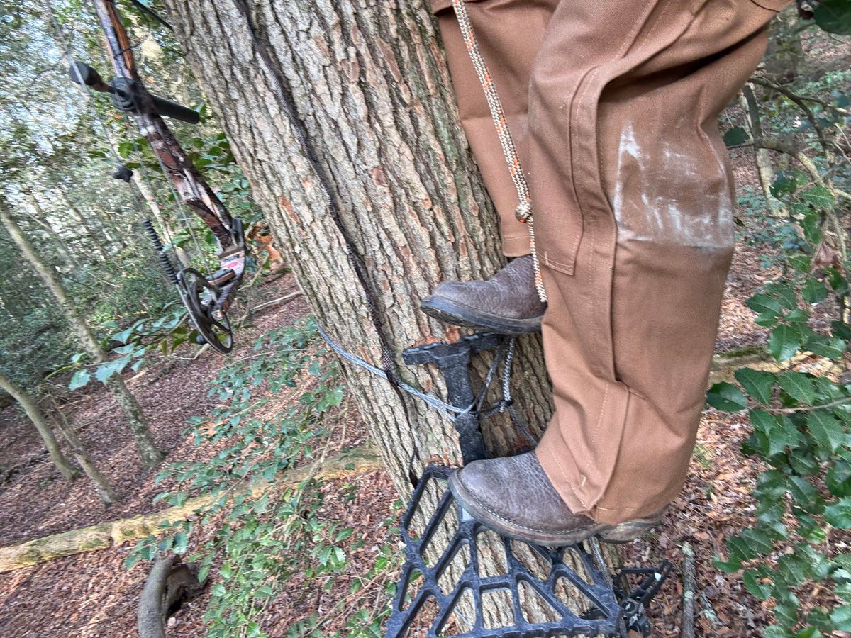 Photo by DocLineman on December 10, 2025 of the Nicks Palouse in Horween Orange Predator & Horween Walnut Bullhide.