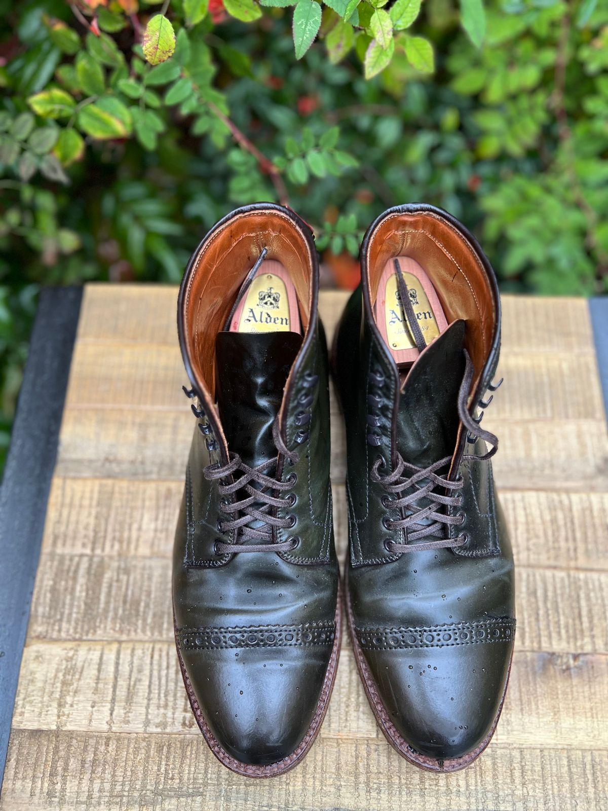 Photo by JupiterIsBeautiful on November 4, 2022 of the Alden Perforated Cap Toe Boot in Horween Old Bronze Shell Cordovan.