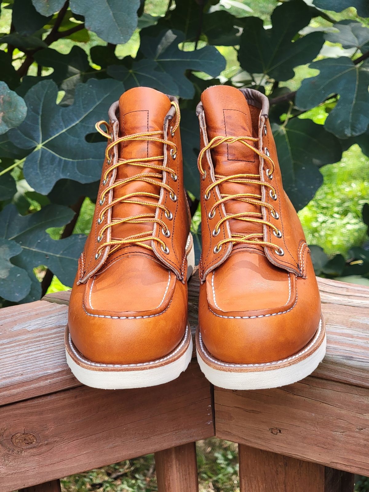 Photo by wwshehan on October 3, 2023 of the Red Wing 6-Inch Classic Moc in S.B. Foot Oro Legacy.