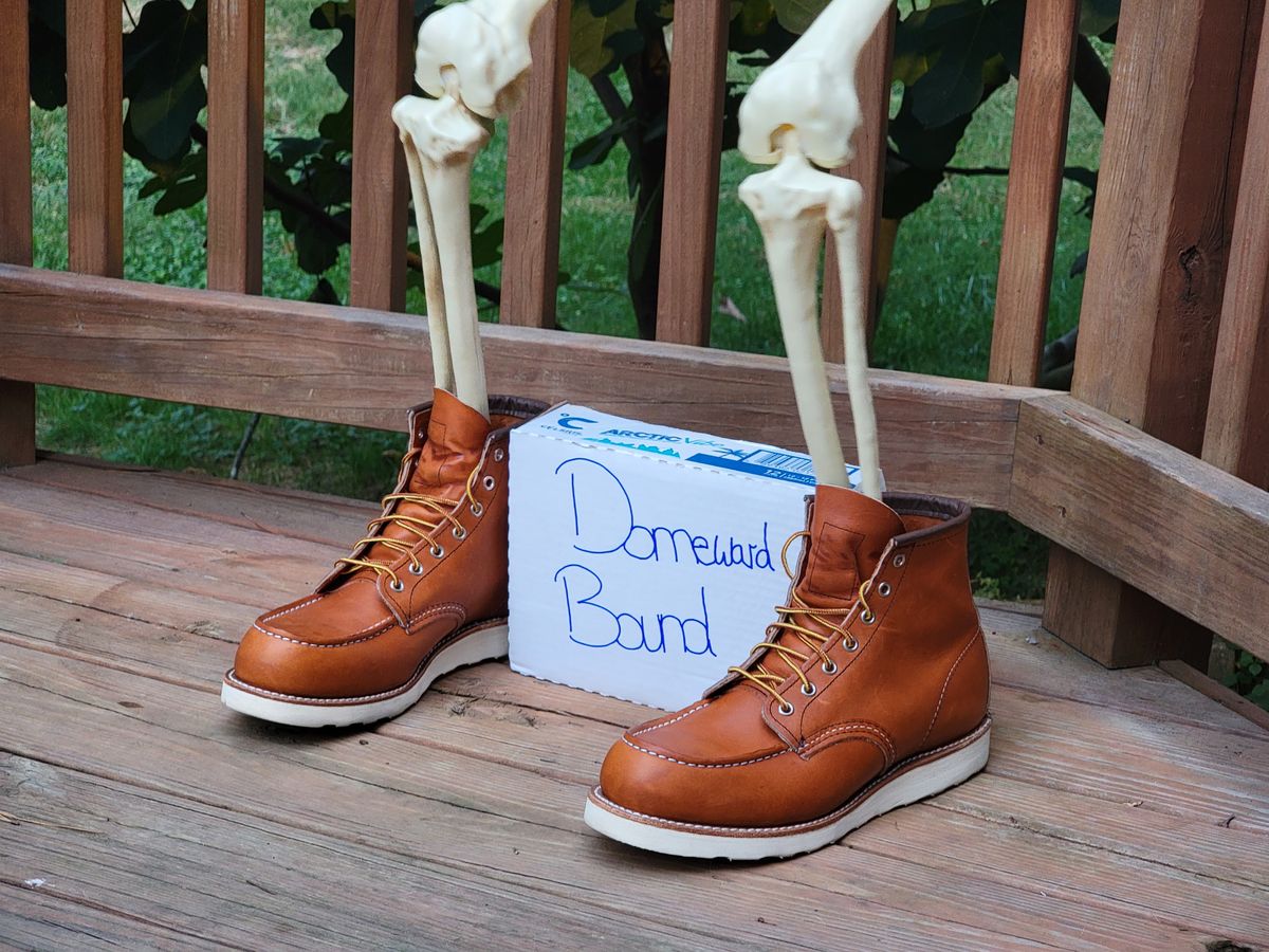 Photo by wwshehan on October 3, 2023 of the Red Wing 6-Inch Classic Moc in S.B. Foot Oro Legacy.