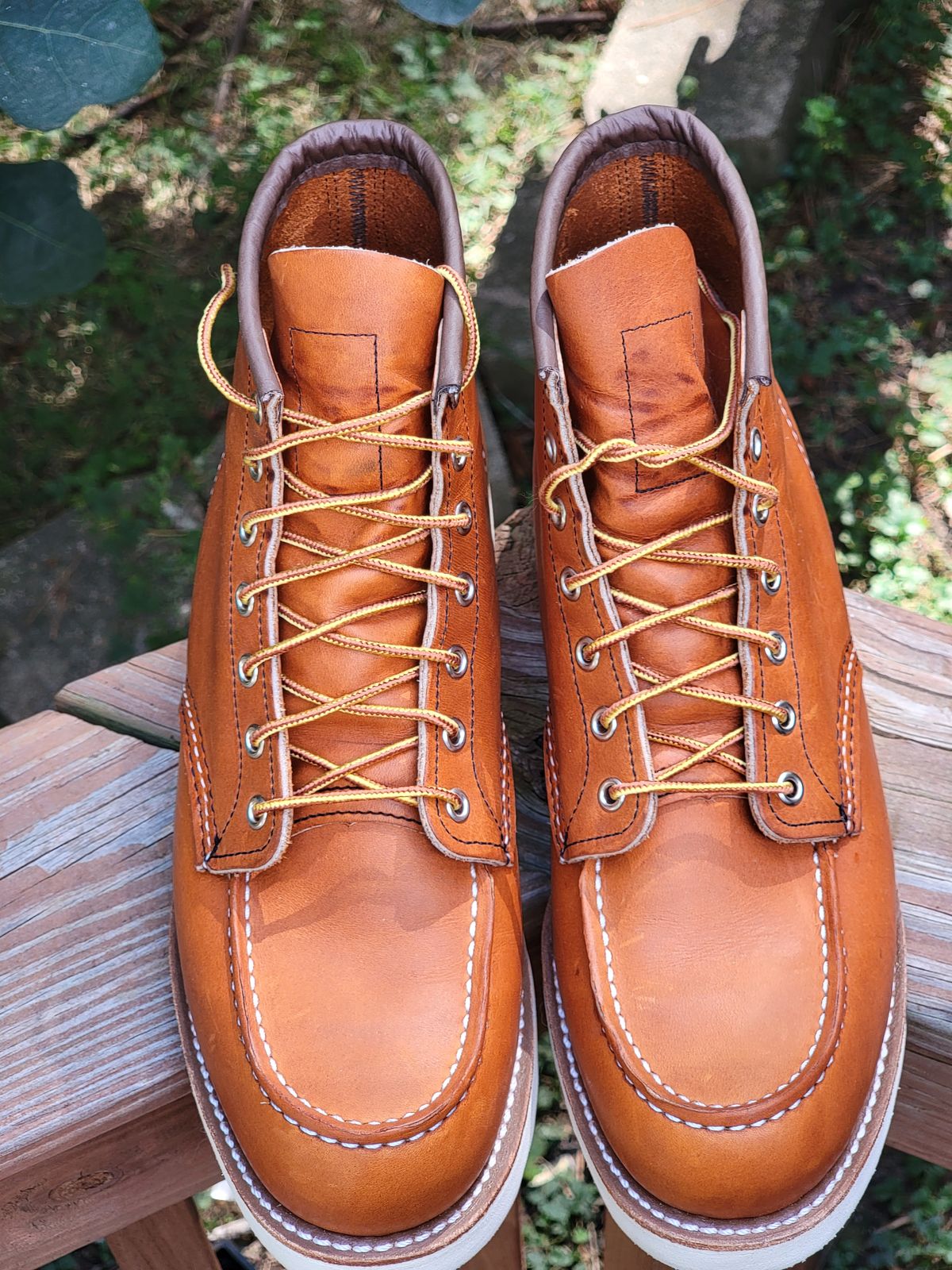 Photo by wwshehan on October 3, 2023 of the Red Wing 6-Inch Classic Moc in S.B. Foot Oro Legacy.