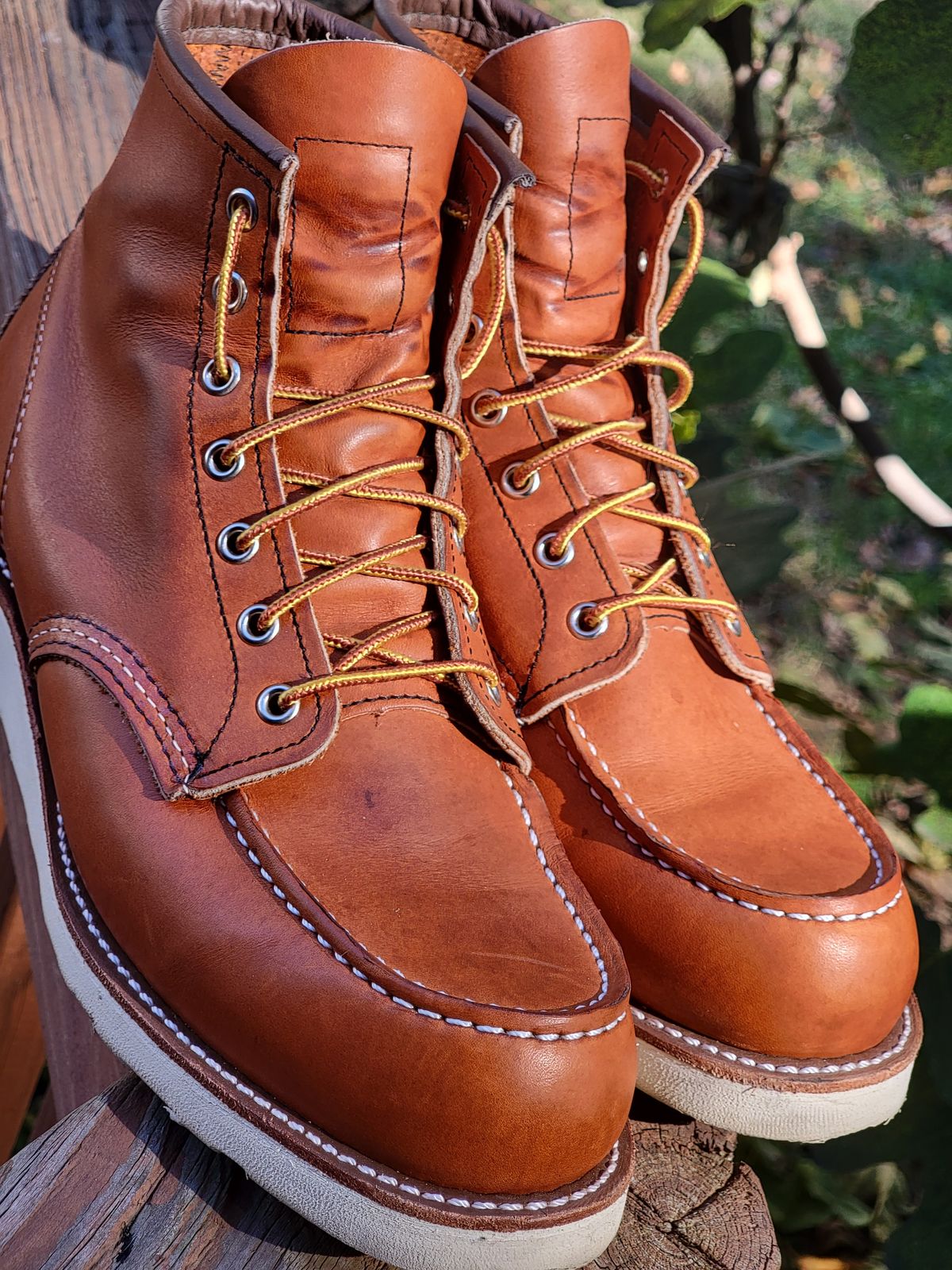 Photo by wwshehan on November 2, 2023 of the Red Wing 6-Inch Classic Moc in S.B. Foot Oro Legacy.