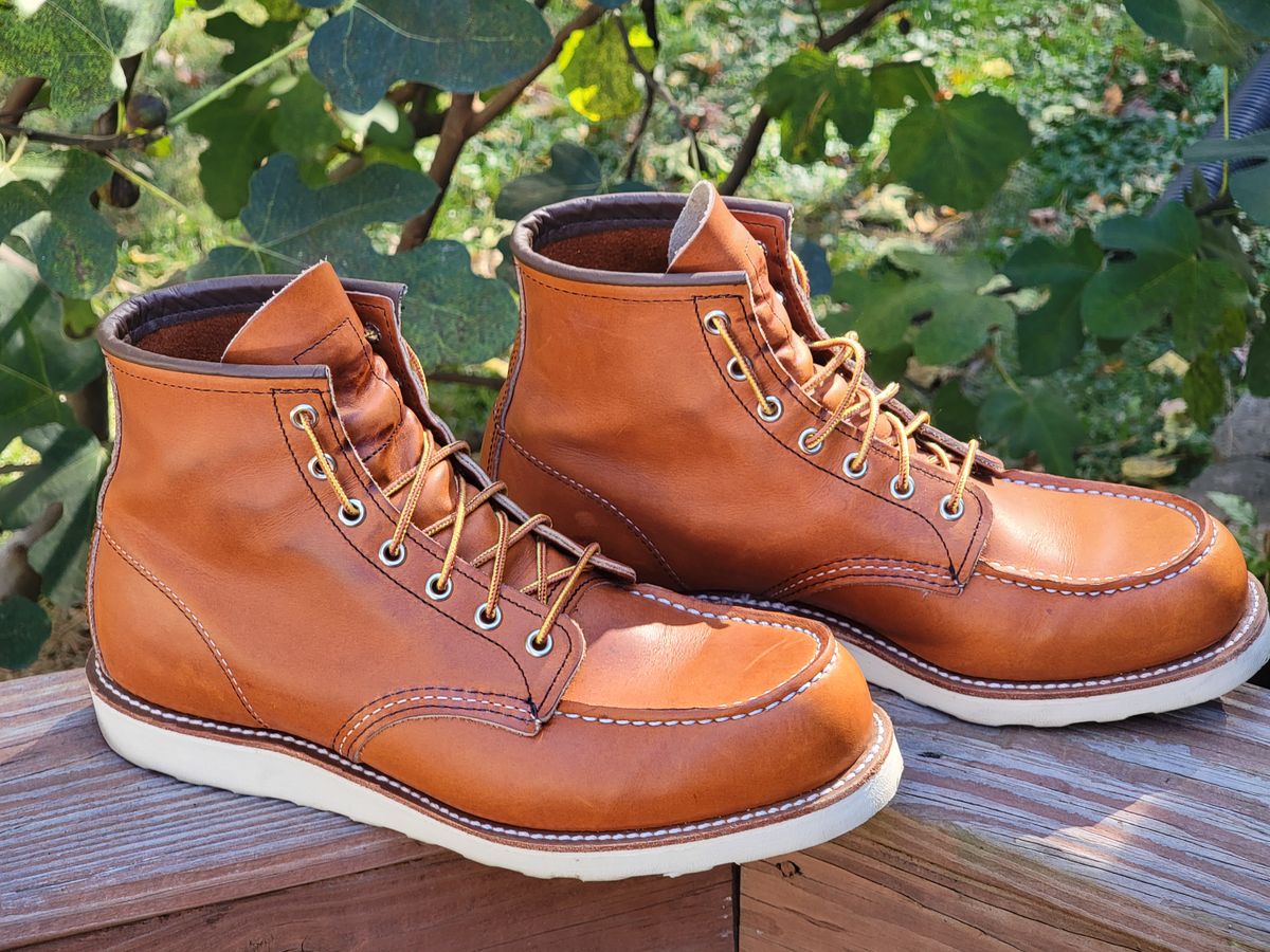 Photo by wwshehan on November 2, 2023 of the Red Wing 6-Inch Classic Moc in S.B. Foot Oro Legacy.