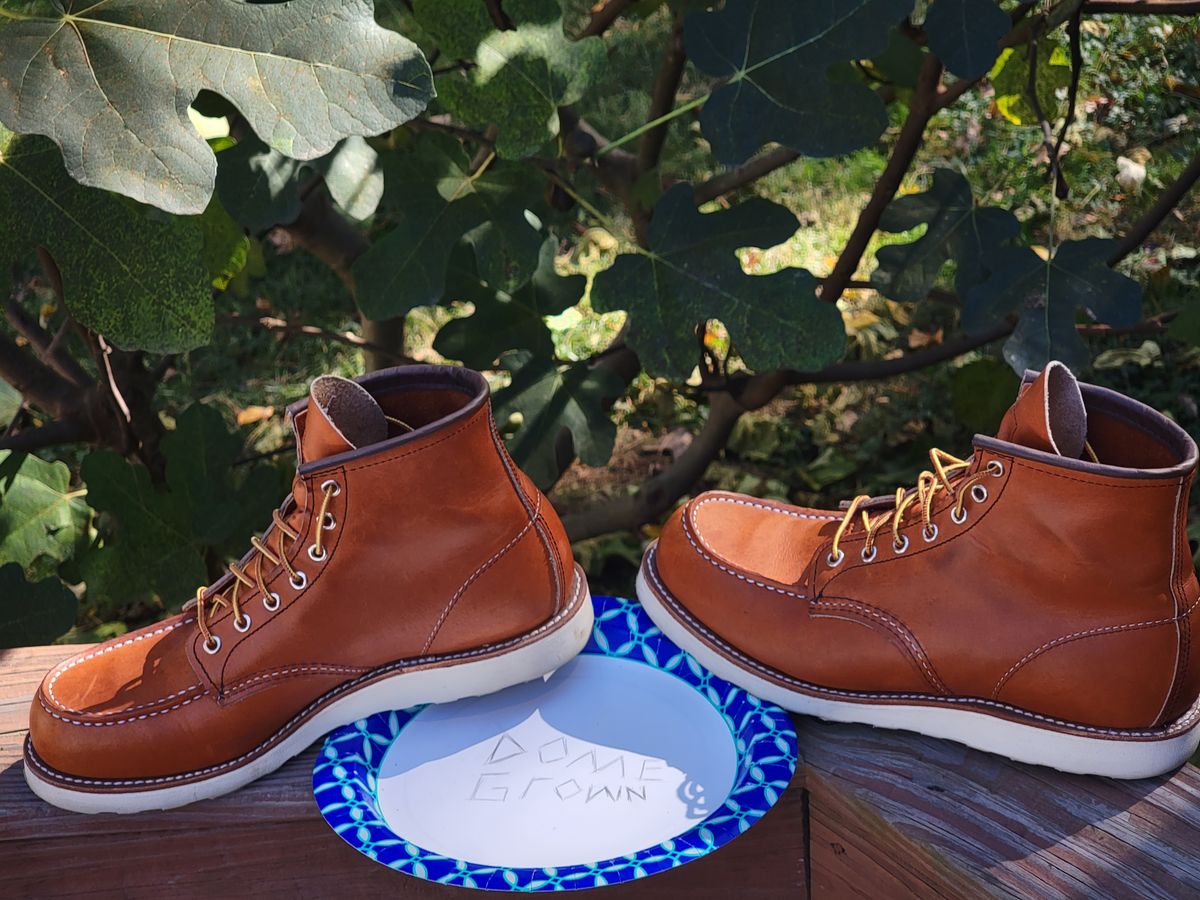 Photo by wwshehan on November 2, 2023 of the Red Wing 6-Inch Classic Moc in S.B. Foot Oro Legacy.