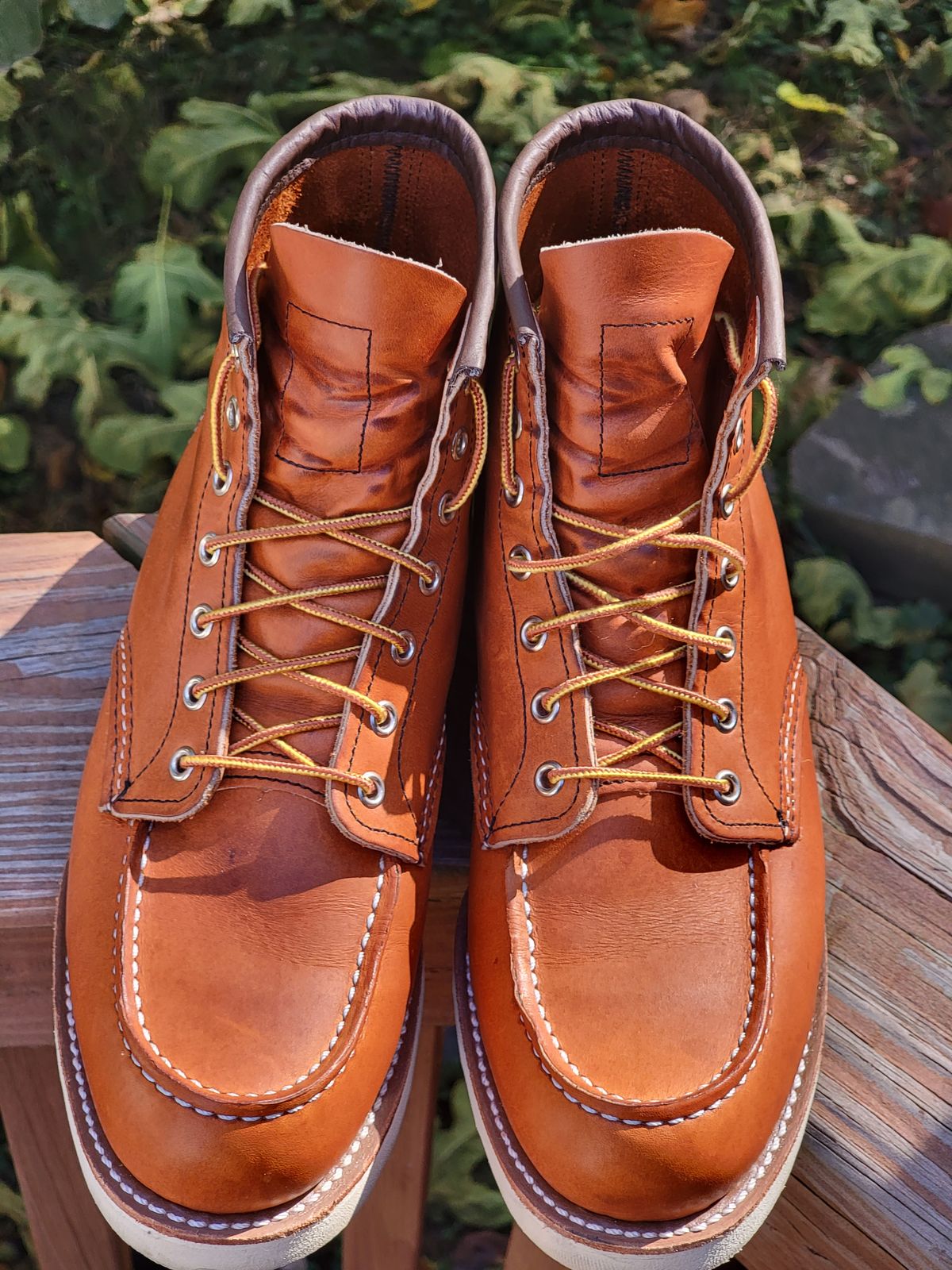 Photo by wwshehan on November 2, 2023 of the Red Wing 6-Inch Classic Moc in S.B. Foot Oro Legacy.