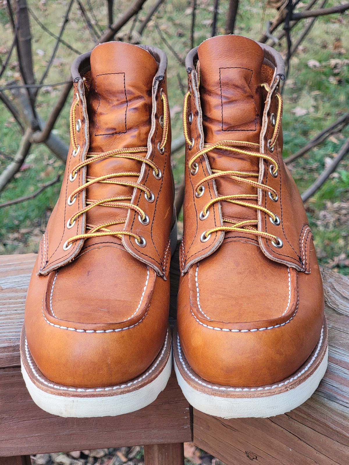 Photo by wwshehan on December 4, 2023 of the Red Wing 6-Inch Classic Moc in S.B. Foot Oro Legacy.