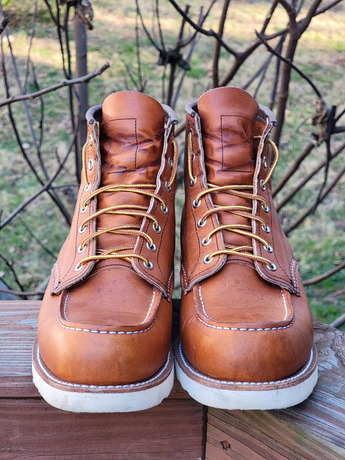 Photo by wwshehan on January 2, 2024 of the Red Wing 6-Inch Classic Moc in S.B. Foot Oro Legacy.