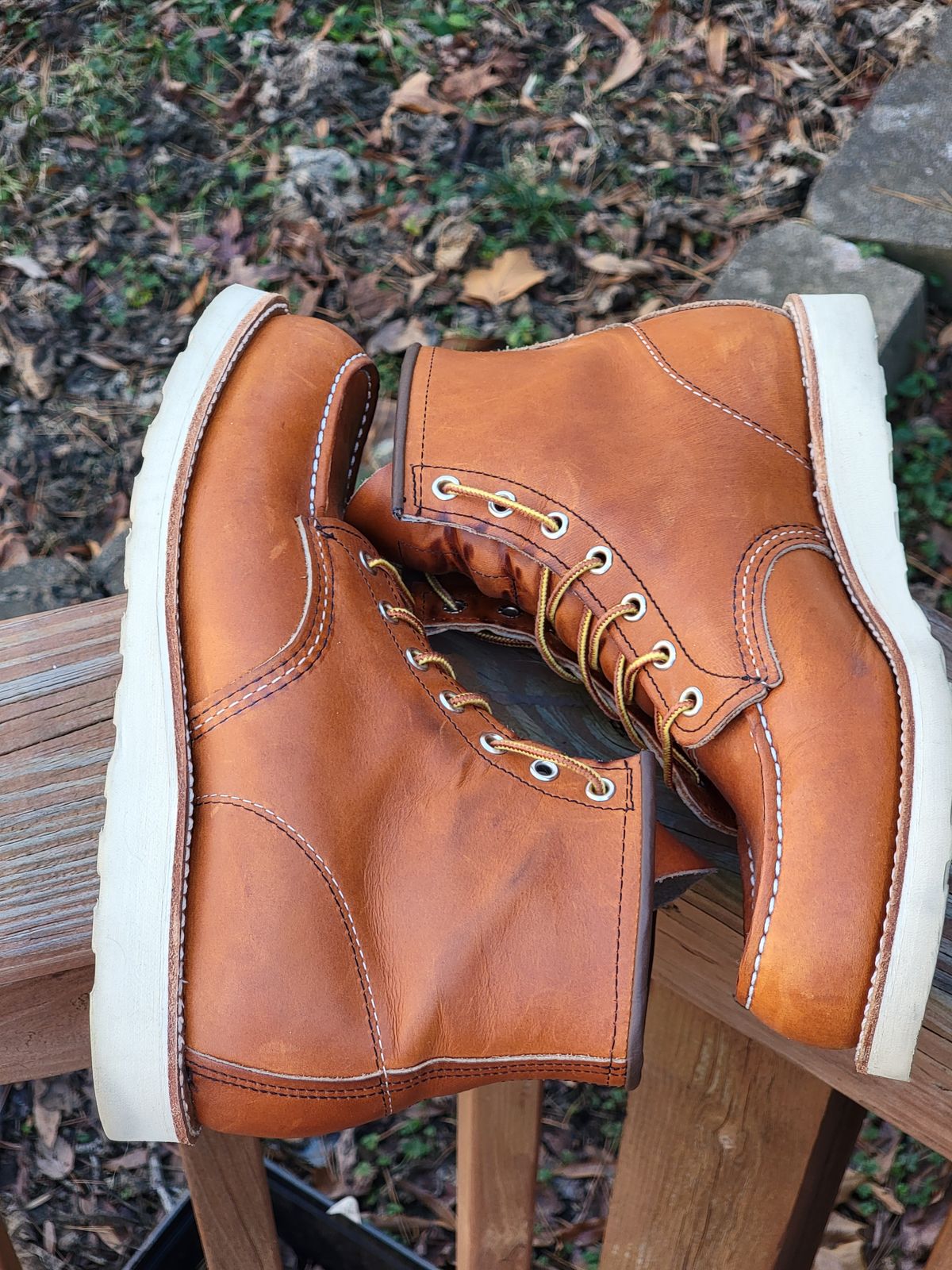 Photo by wwshehan on January 2, 2024 of the Red Wing 6-Inch Classic Moc in S.B. Foot Oro Legacy.