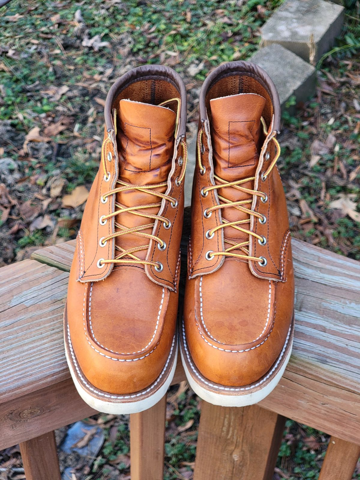 Photo by wwshehan on January 2, 2024 of the Red Wing 6-Inch Classic Moc in S.B. Foot Oro Legacy.