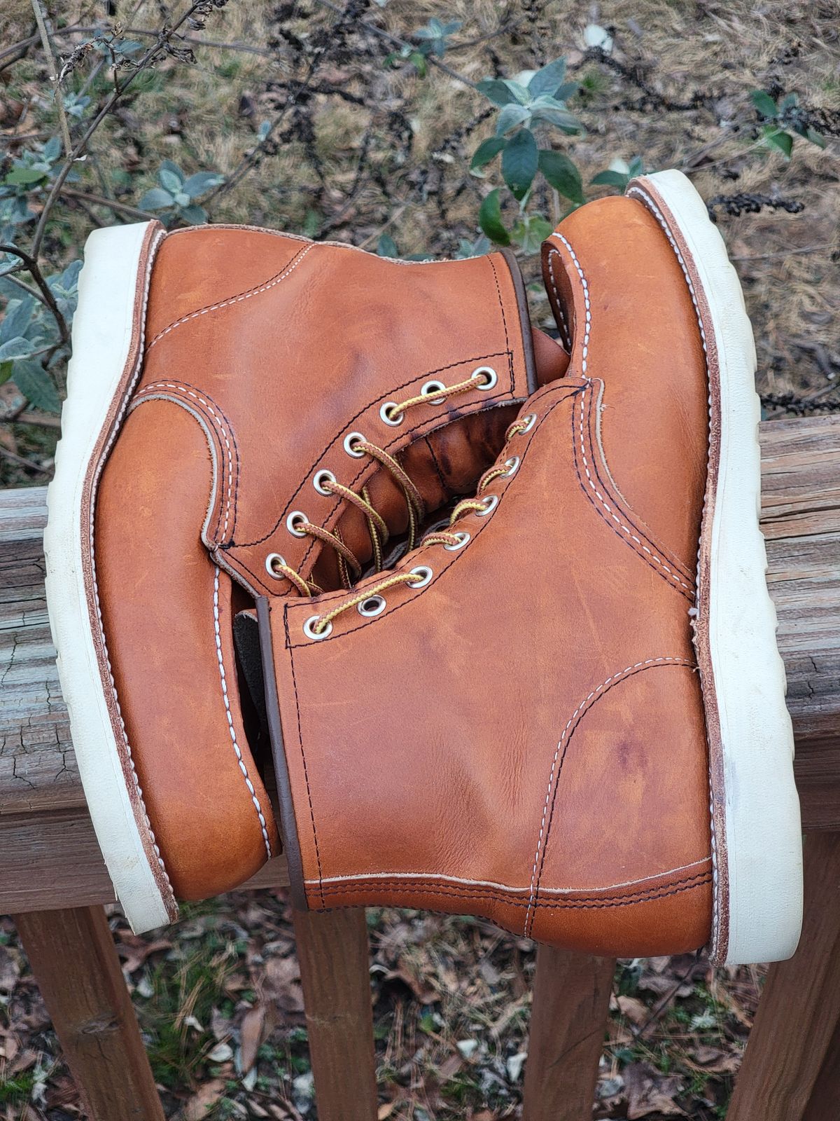 Photo by wwshehan on February 5, 2024 of the Red Wing 6-Inch Classic Moc in S.B. Foot Oro Legacy.