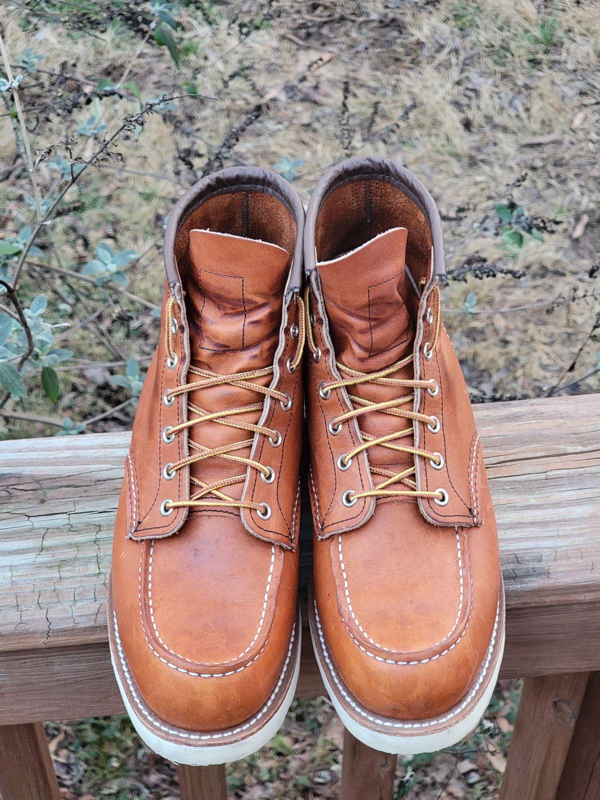 Photo by wwshehan on February 5, 2024 of the Red Wing 6-Inch Classic Moc in S.B. Foot Oro Legacy.