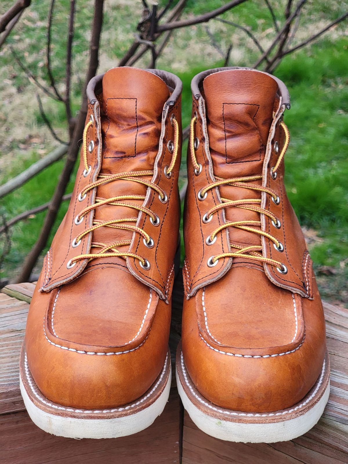 Photo by wwshehan on March 4, 2024 of the Red Wing 6-Inch Classic Moc in S.B. Foot Oro Legacy.