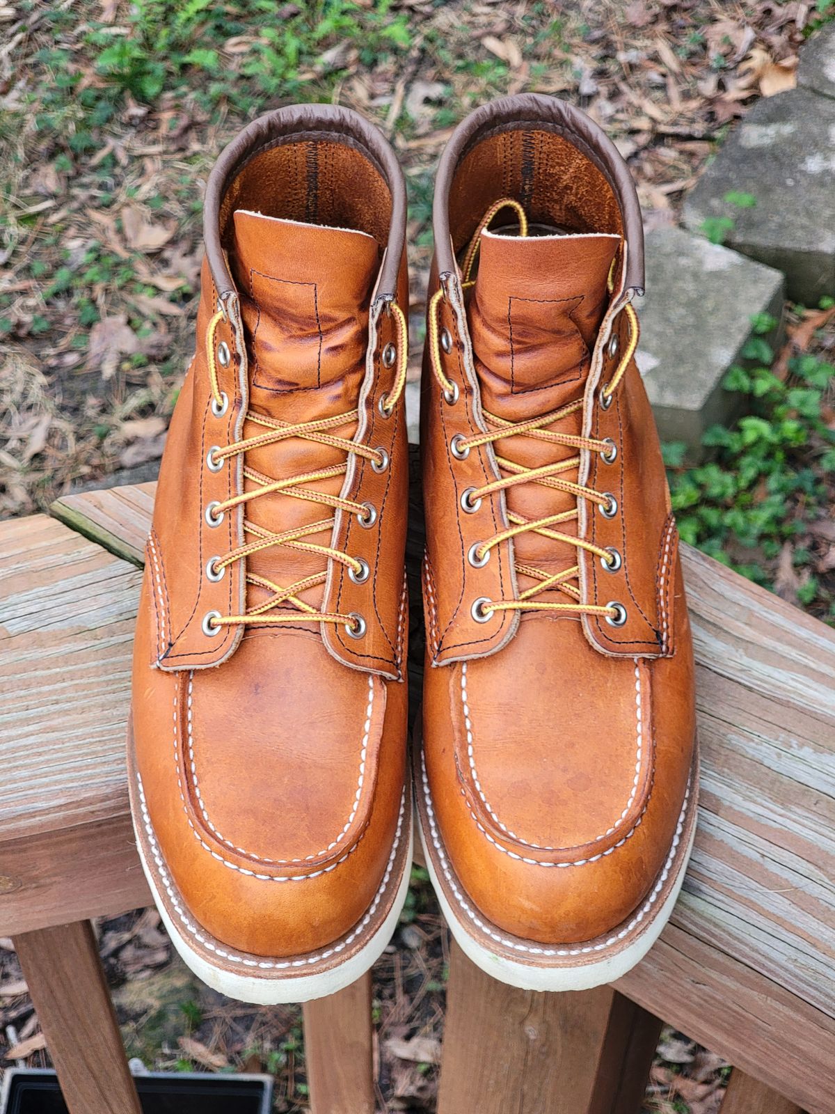 Photo by wwshehan on March 4, 2024 of the Red Wing 6-Inch Classic Moc in S.B. Foot Oro Legacy.