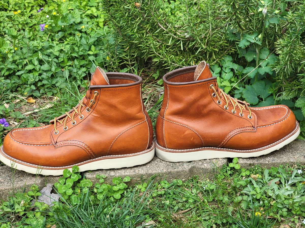 Photo by wwshehan on April 2, 2024 of the Red Wing 6-Inch Classic Moc in S.B. Foot Oro Legacy.