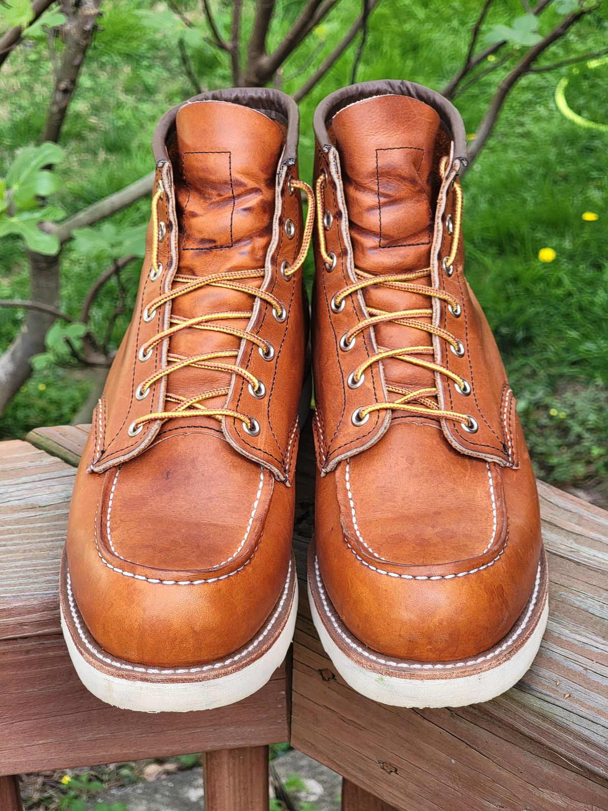 Photo by wwshehan on April 2, 2024 of the Red Wing 6-Inch Classic Moc in S.B. Foot Oro Legacy.