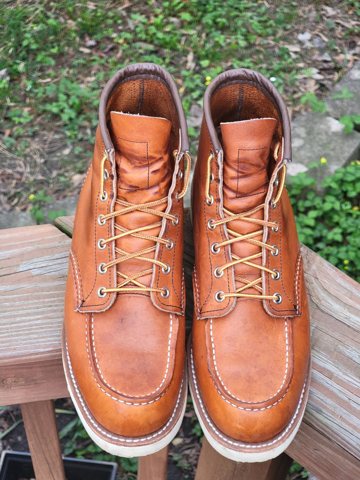Photo by wwshehan on April 2, 2024 of the Red Wing 6-Inch Classic Moc in S.B. Foot Oro Legacy.