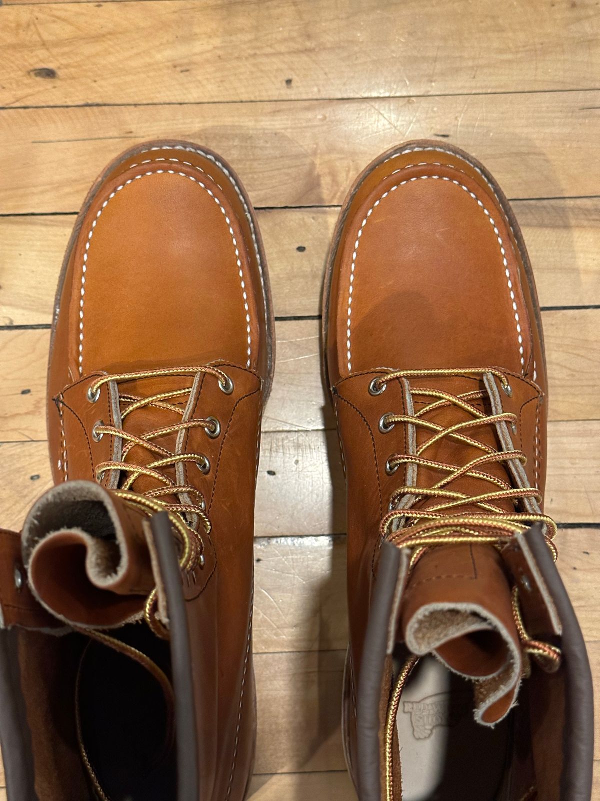 Photo by RoseAnvil_Dallin on October 13, 2022 of the Red Wing 8-Inch Classic Moc in S.B. Foot Oro Legacy.