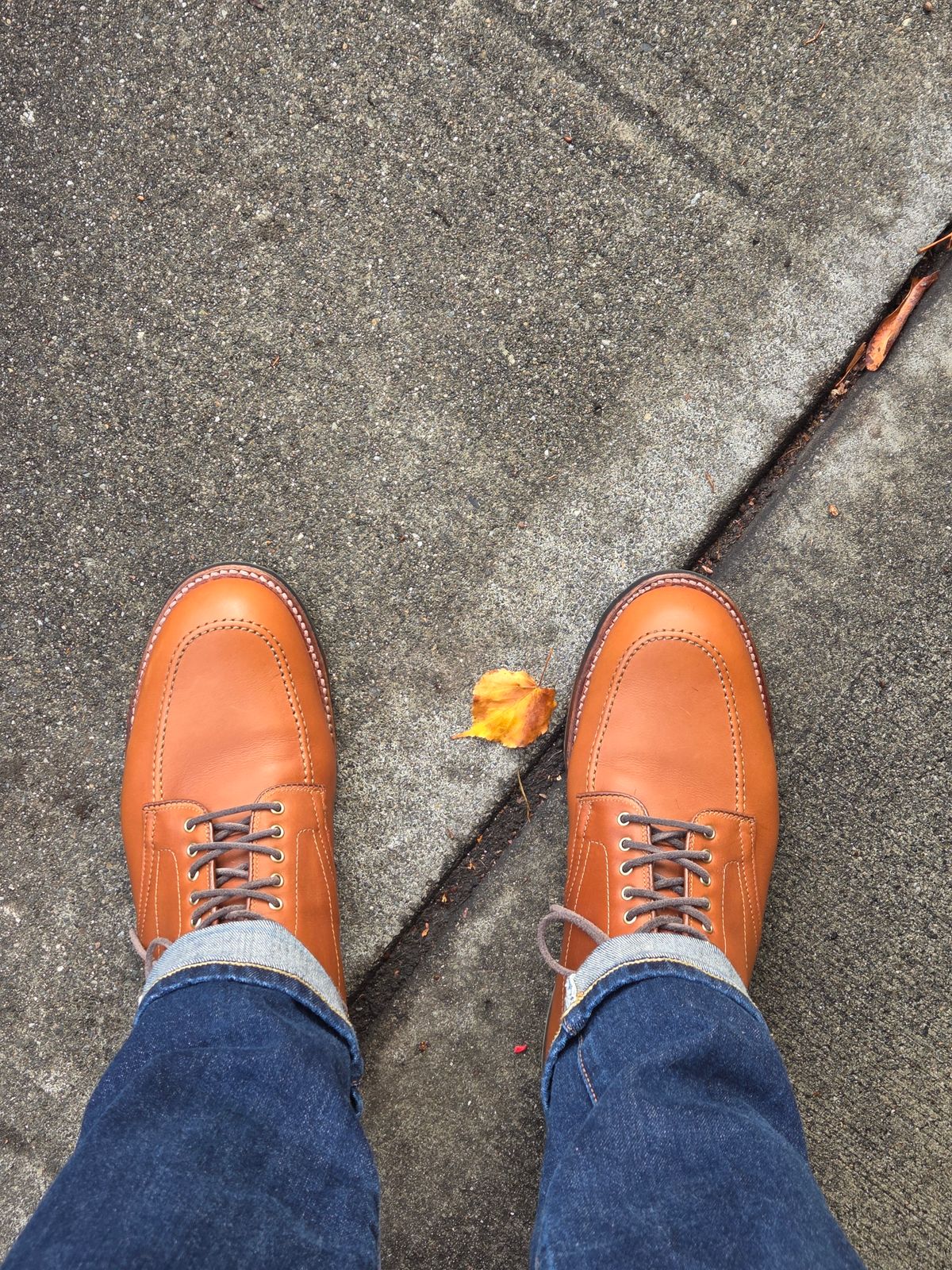 Photo by chorizohowitzer on October 17, 2025 of the Alden Indy Boot in Saddle Tan Calfskin.