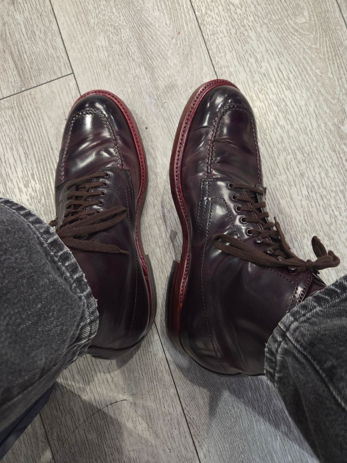 Photo by chorizohowitzer on April 15, 2026 of the Alden Indy Boot in Horween Color 8 Shell Cordovan.