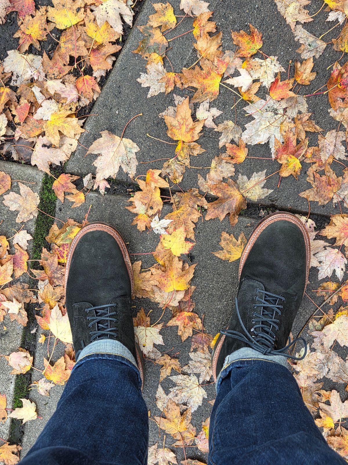 Photo by chorizohowitzer on October 25, 2025 of the Alden Plain Toe Boot in Horween Earth Chamois Roughout.
